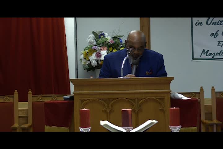 Tree Of Life Sept 8, 2024