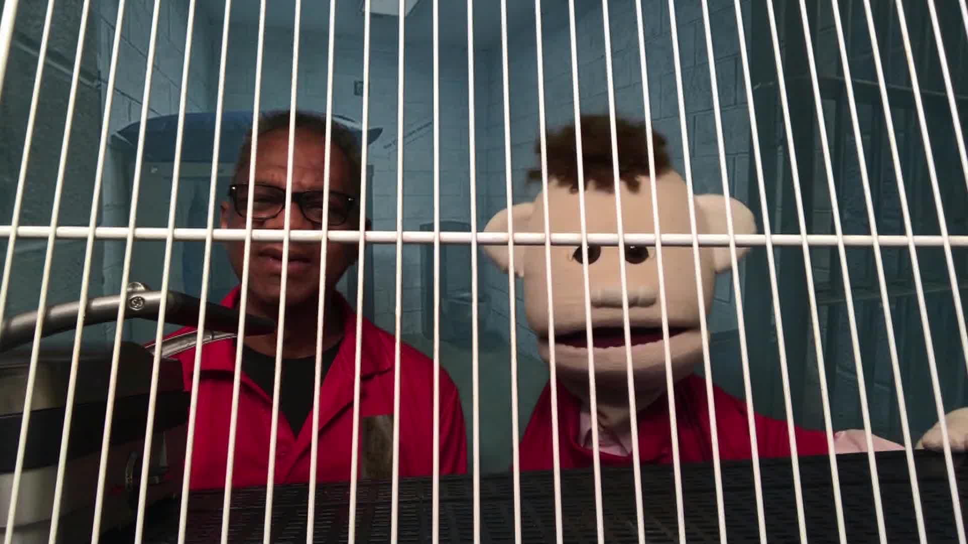 The Chad and Bunny Show - Episode 0502 - Chad & Bunny in The Puppet's Court