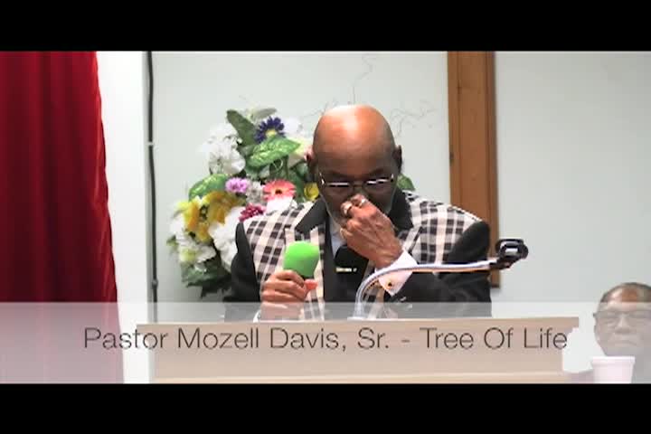 Tree Of Life Oct 6th 2024