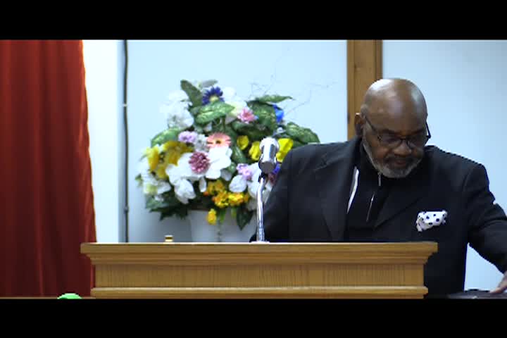 Tree of Life 10-24-24