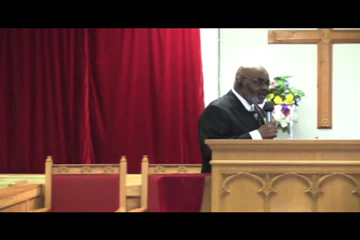 Tree of Life - 11-7-24