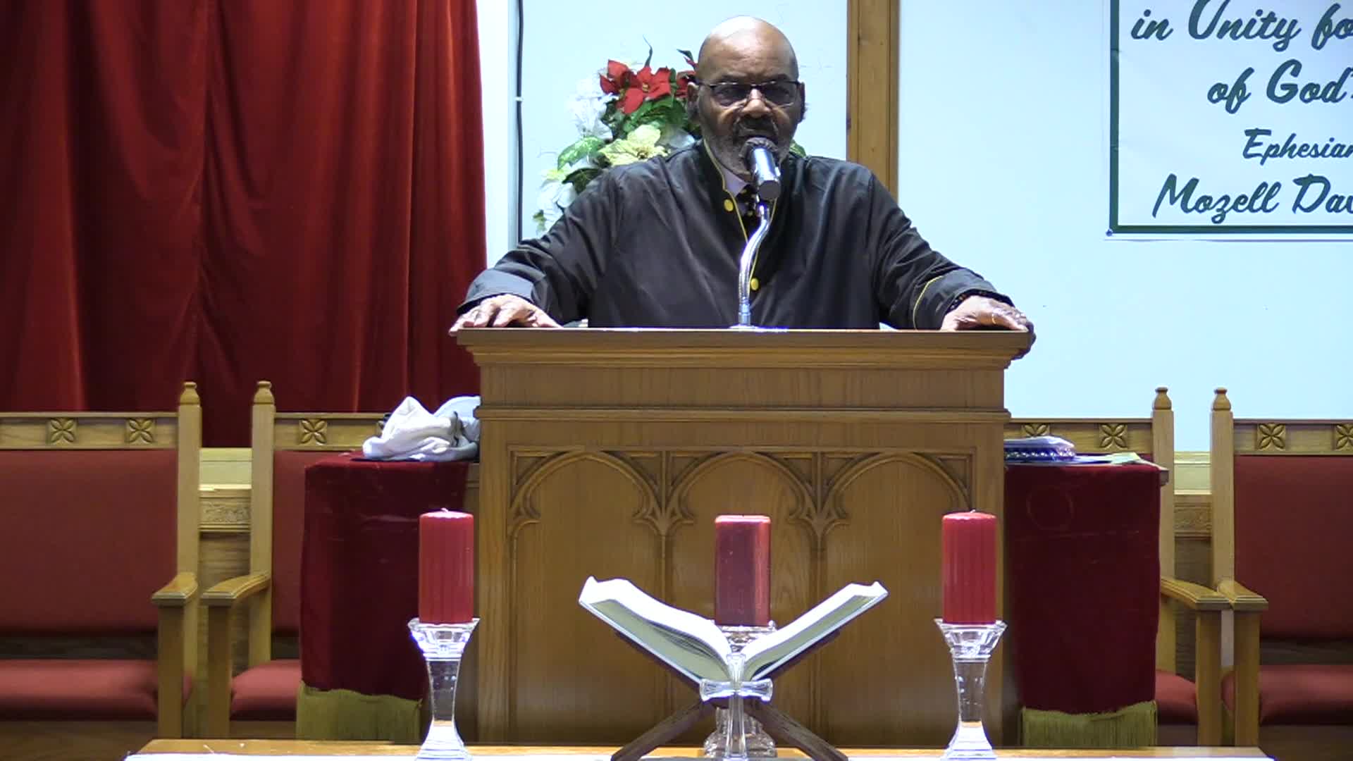 Tree Of Life Nov 29th