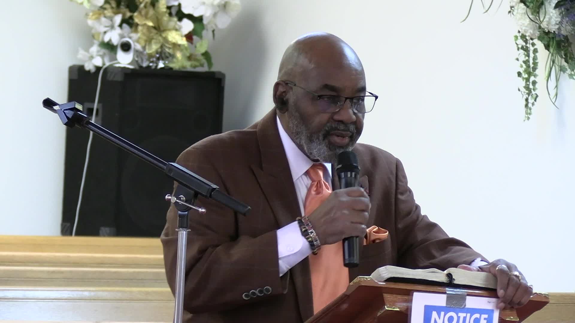 Tree of Life 12-5-24