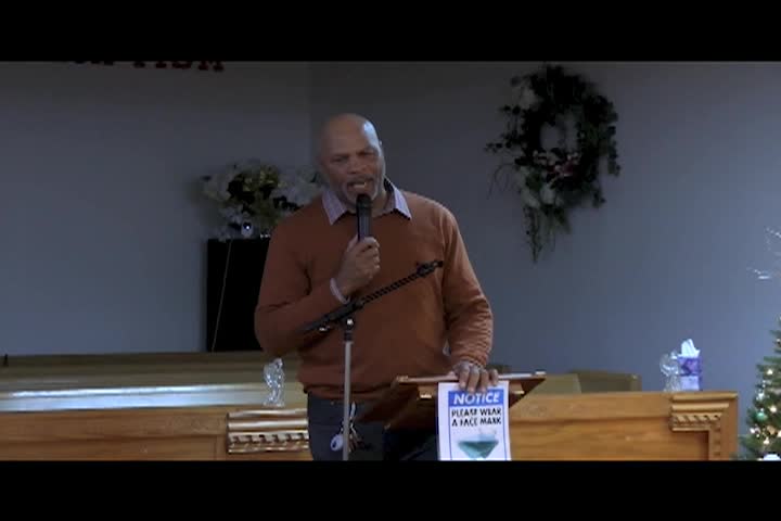 Tree Of Life - 12-18-24