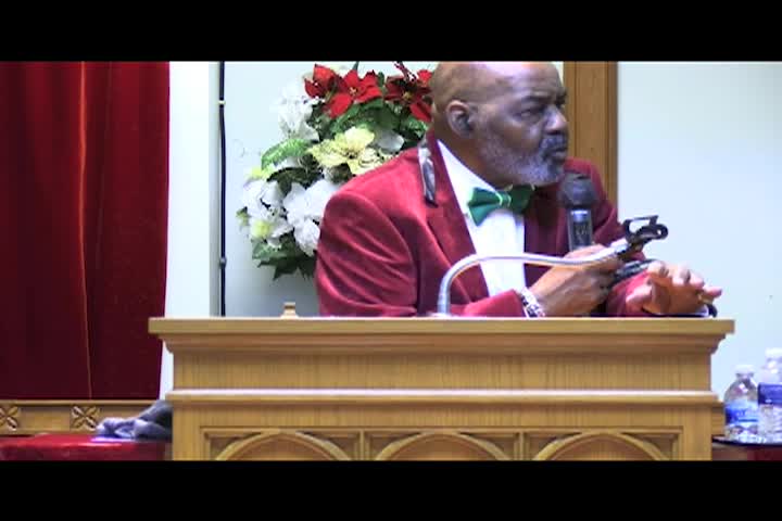 Tree Of Life  Dec 31