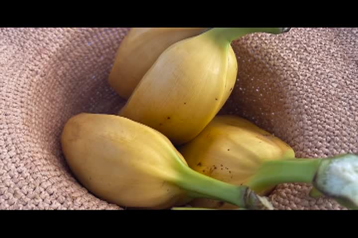 Cooking and Kids - Coconut Dessert, Fiji S3e17