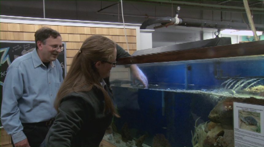 Drawing With Mark: Day at the Aquarium