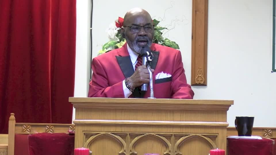 Tree Of Life  - 2-19-25