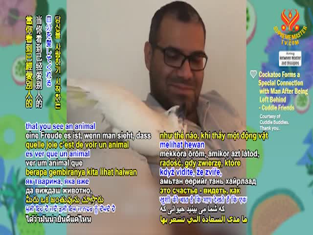 Supreme Master TV - 01-04-480p-60mA