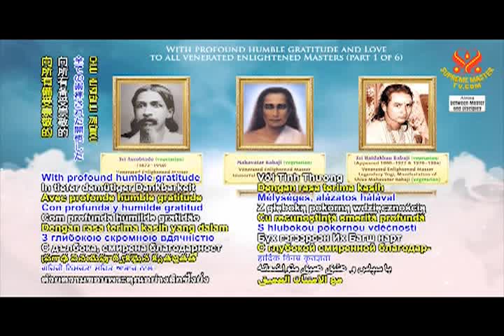 Supreme Master TV - 4-01-480p-60m