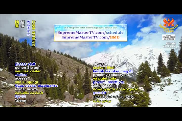 Supreme Master TV - 4-06-480p-60m