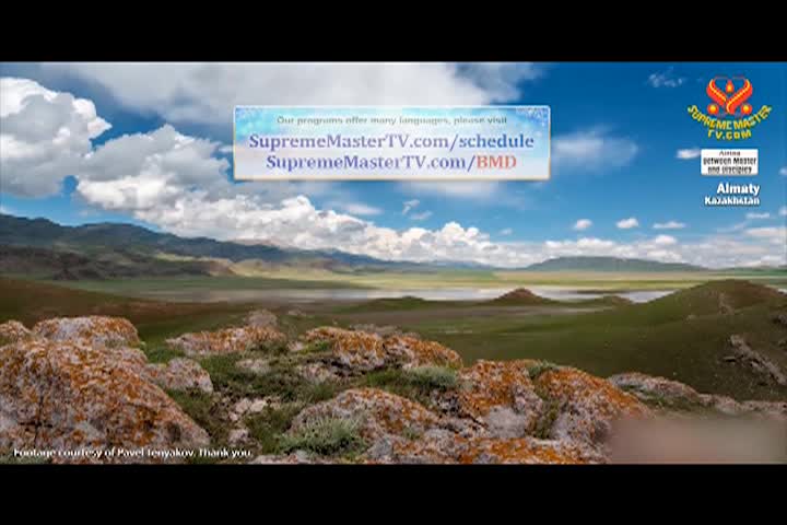 Supreme Master TV - 4-02-480p-60m