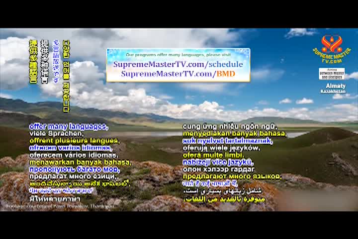 Supreme Master TV - 4-08-480p-60m
