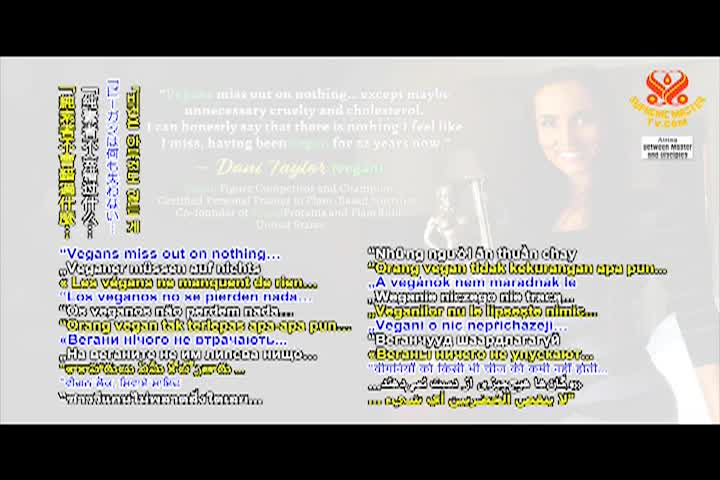 Supreme Master TV - 05-06-480p-60m