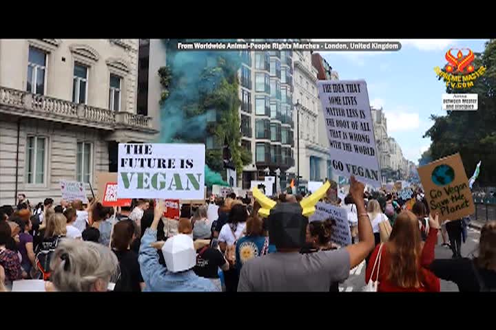 Supreme Master TV - 05-07-480p-60m