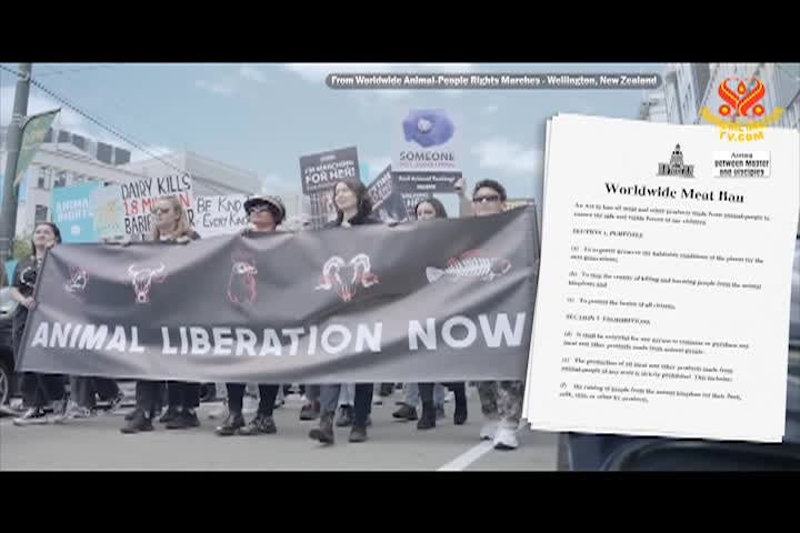 Supreme Master TV - 05-08-480p-60ma