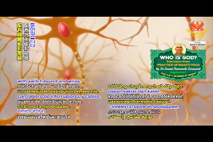 Supreme Master TV - 05-06-480p-60ma