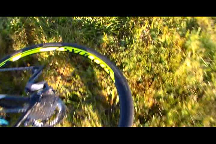 Heart of Japan - Lemans at Luatzring TVMA