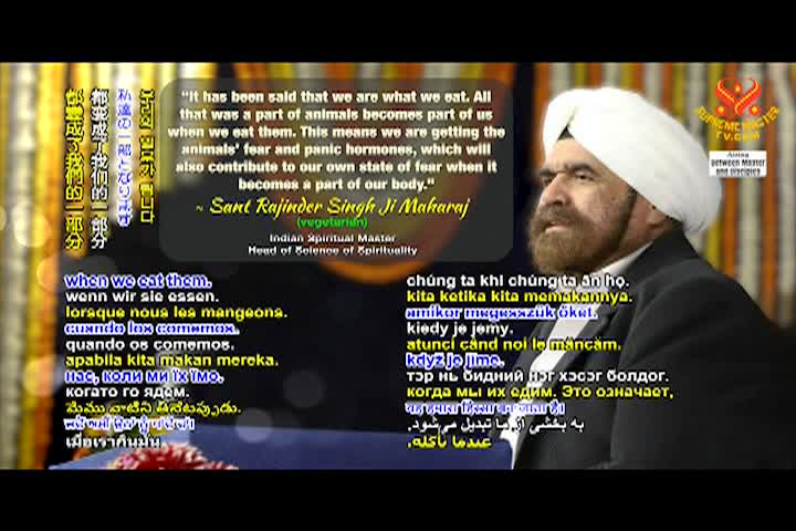 Supreme Master TV - 07-06-720p-60m