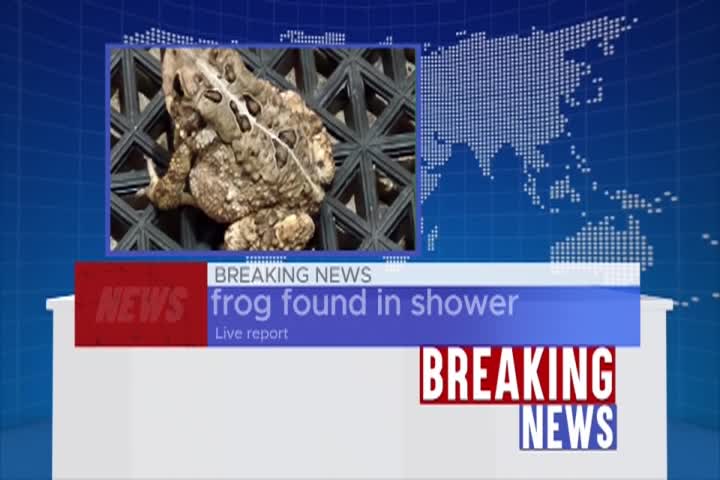 oddly satisfying toys 80 august 2025