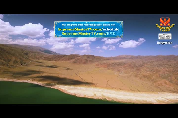 Supreme Master TV - 08-01-480p-60maa