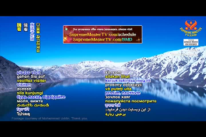 Supreme Master TV - 08-03-480p-60mab