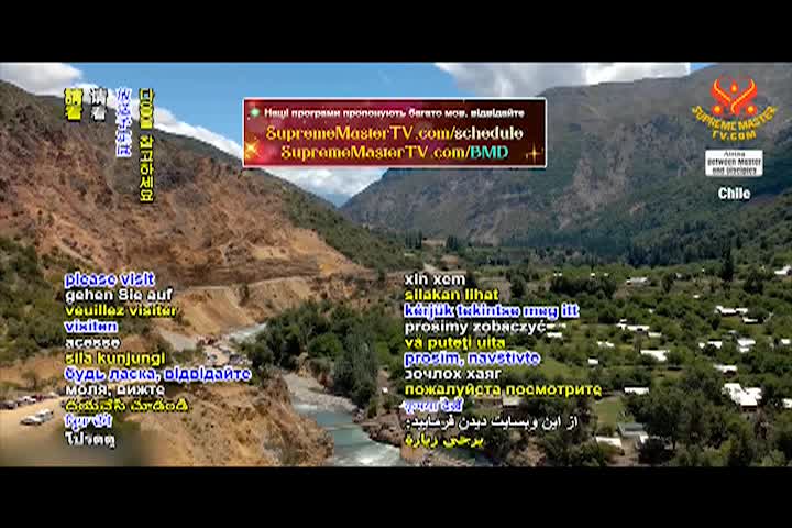 Supreme Master TV - 09-01-480p-60mAA