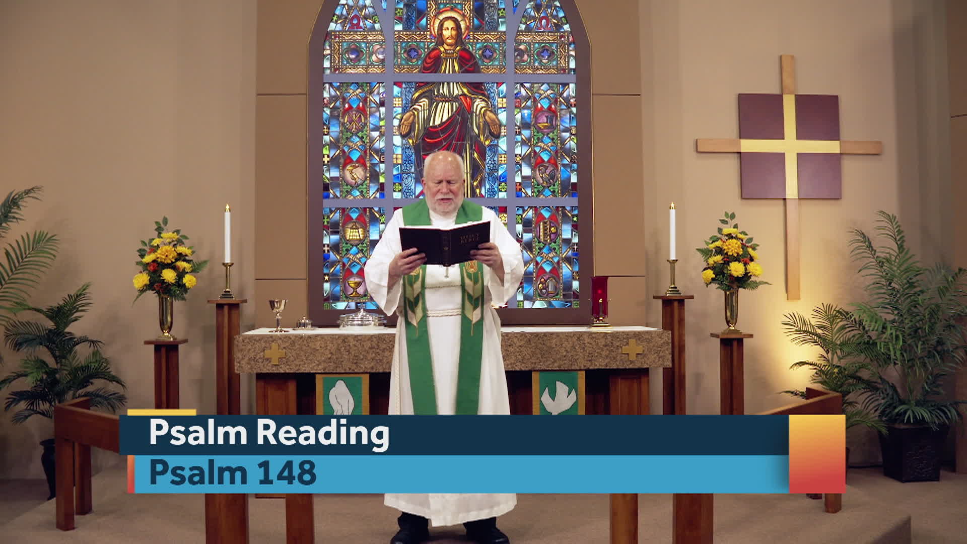 Worship Anew - 11-09-25