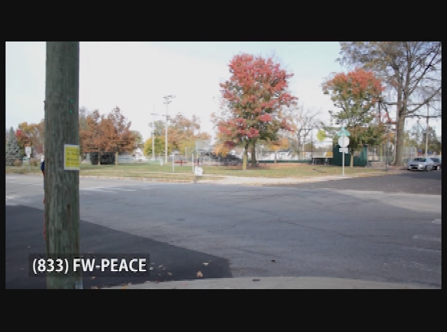 Pax Fortlandia: Peace Phone