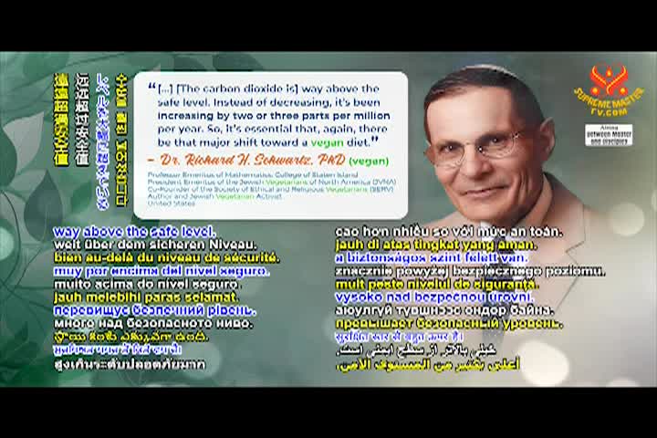 Supreme Master TV - 11-01-480p-60mab