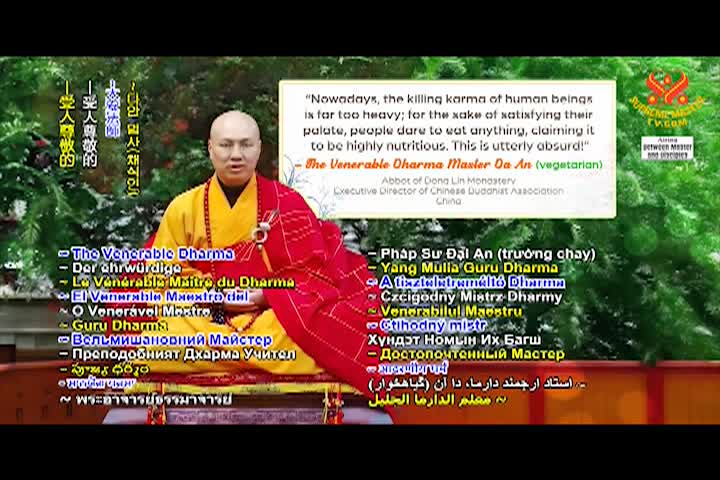 Supreme Master TV - 11-03-480p-60mab