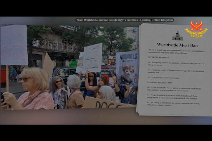 Supreme Master TV - 11-08-480p-60mab