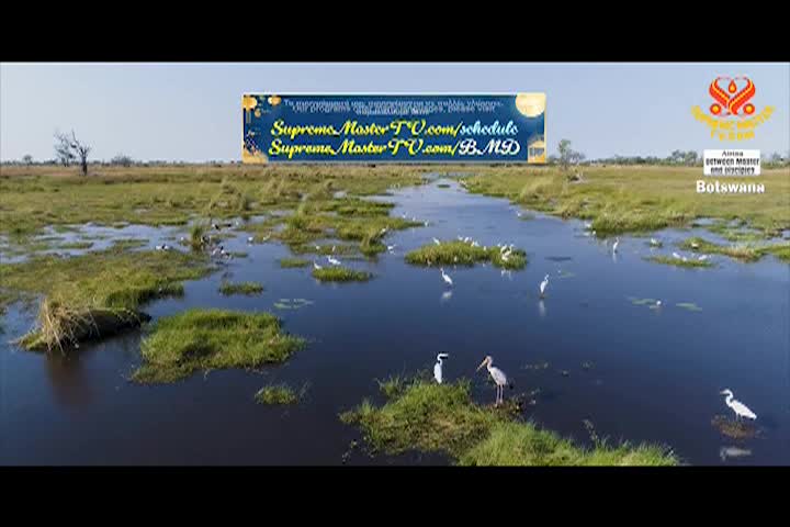 Supreme Master TV - 12-07-480p-60mb