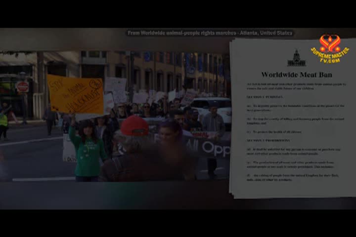 Supreme Master TV - 12-04-480p-60m 2026