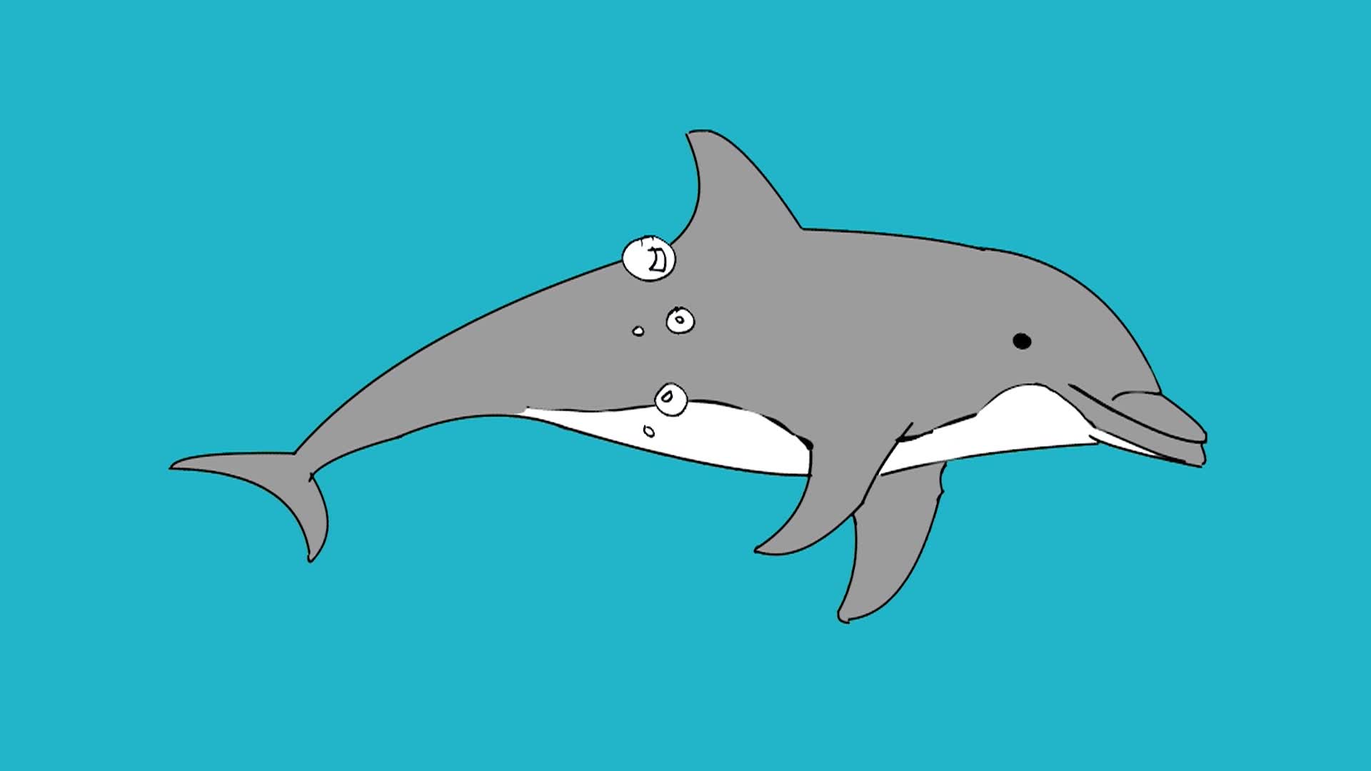 Dr. Draw #129 - Dolphins