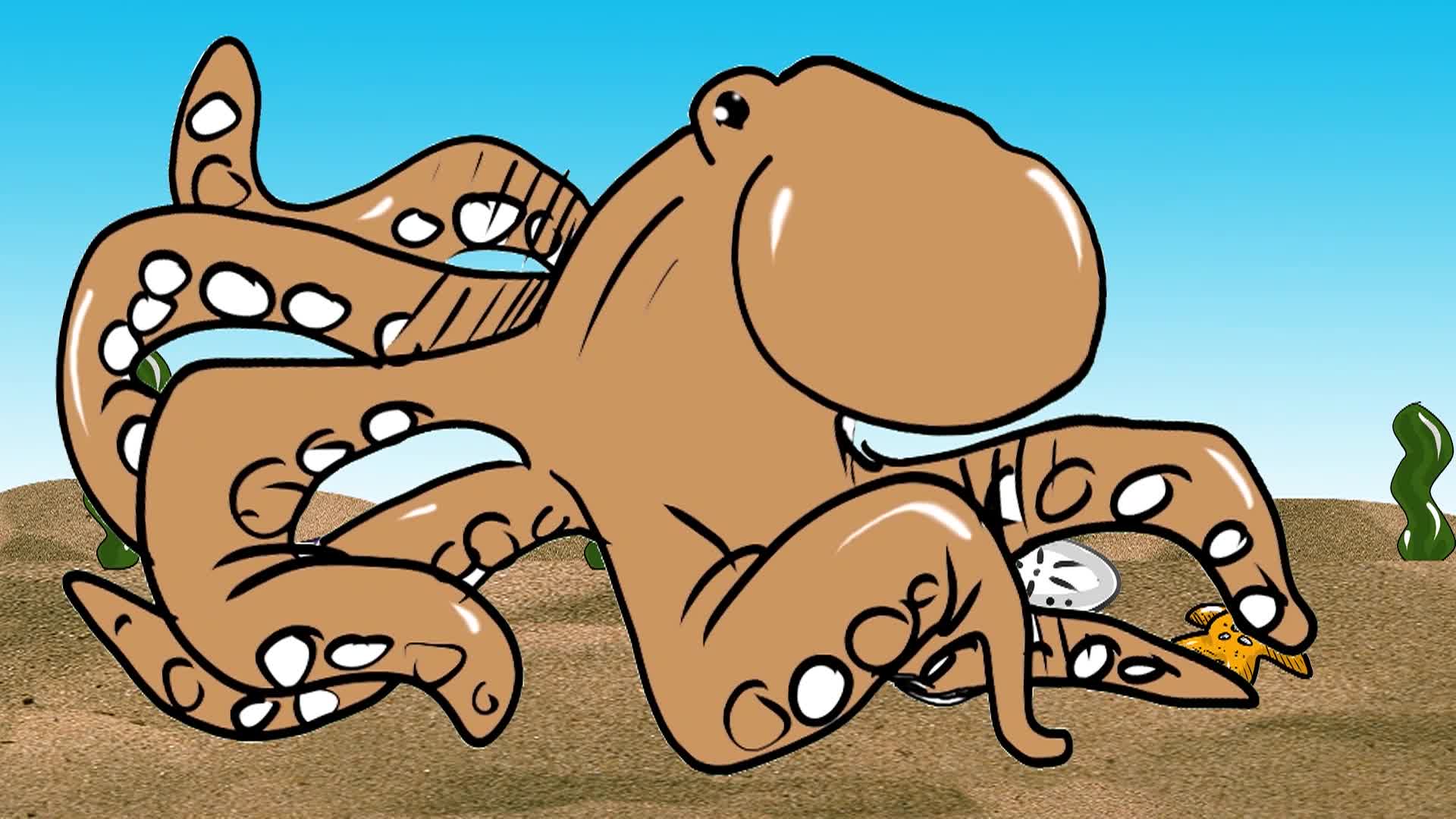 Dr. Draw #124 - Octopus Show