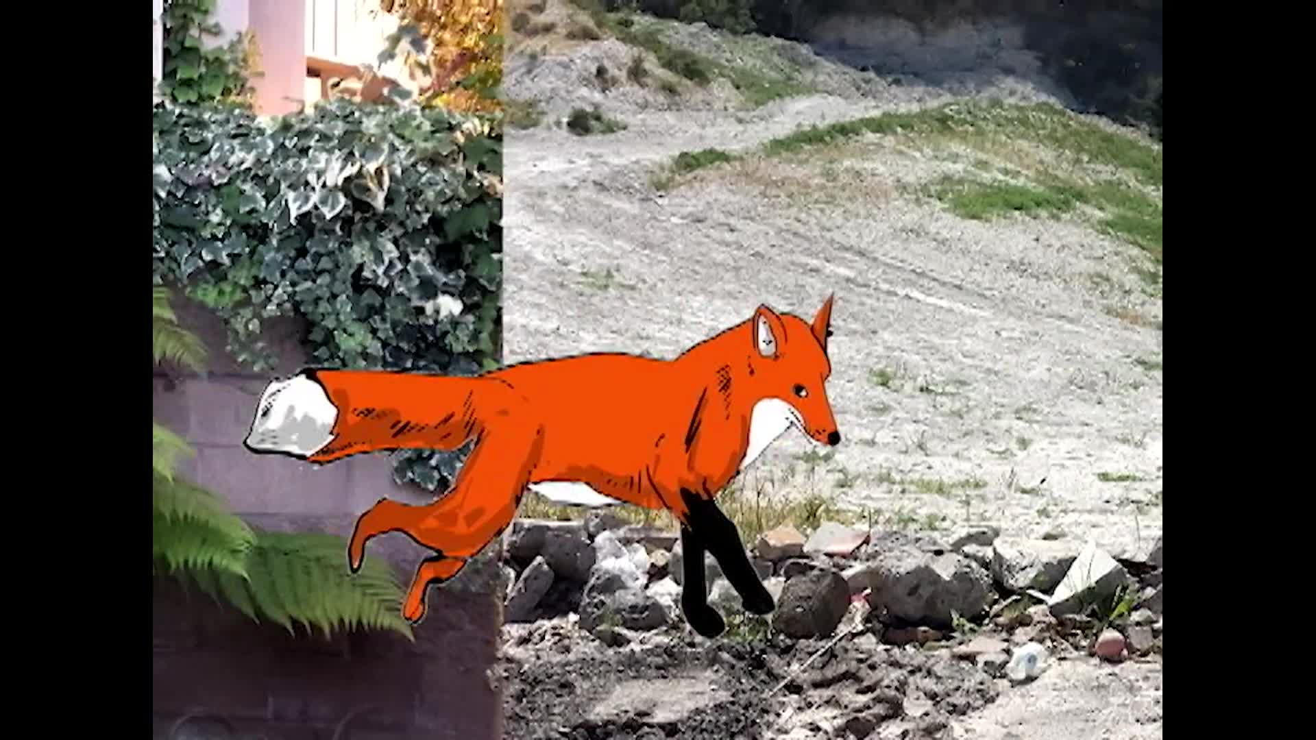 Dr. Draw #117 - The Fox Show