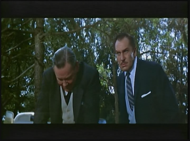 Haunted Hotel: The Fly