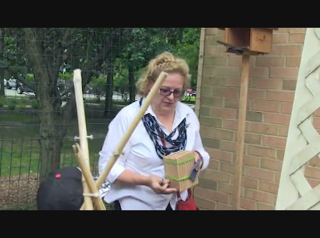 Children's Garden: Bee House Installation